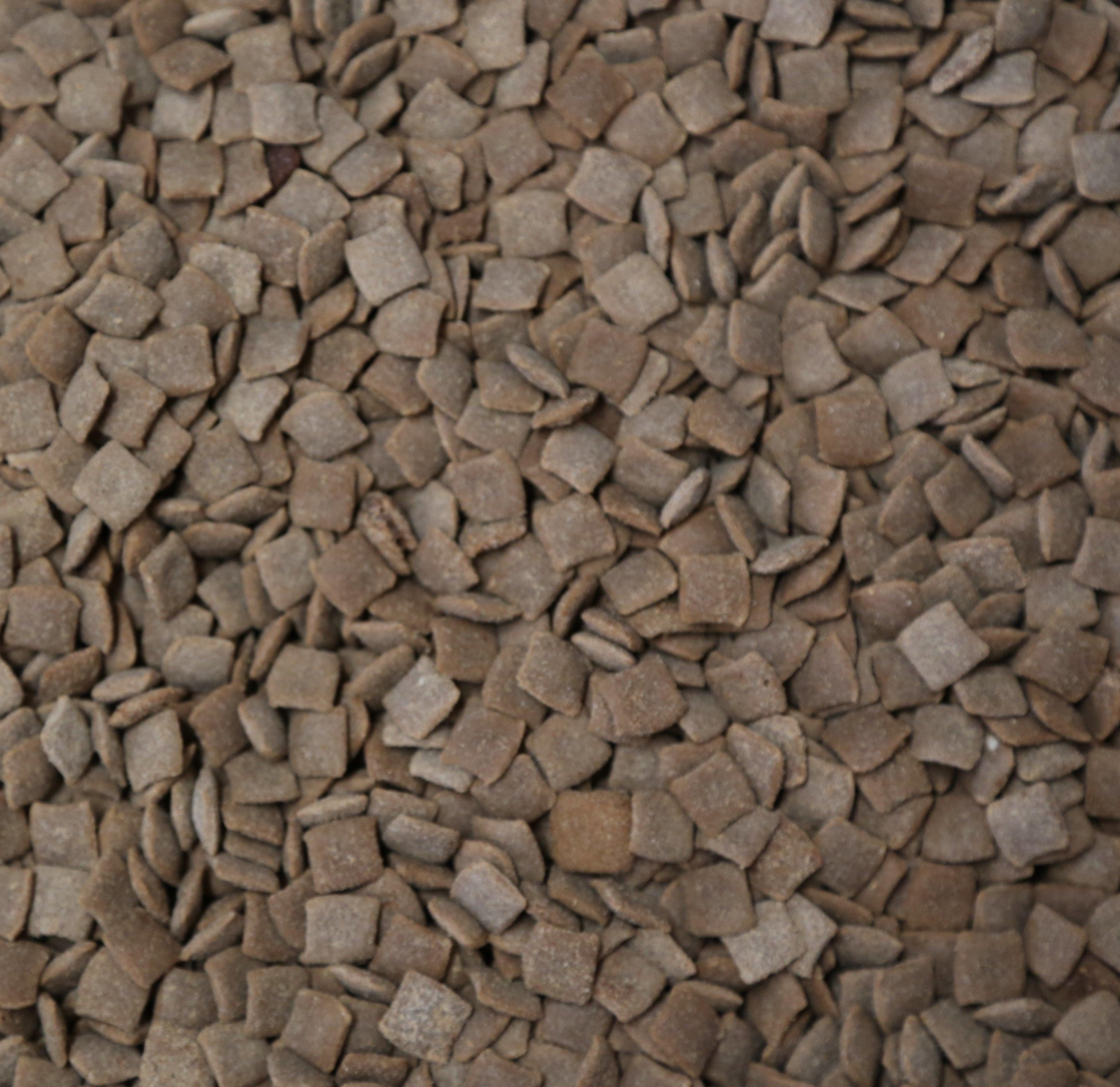 Fromm™ CocoMeow™ Coconut Cat Treats